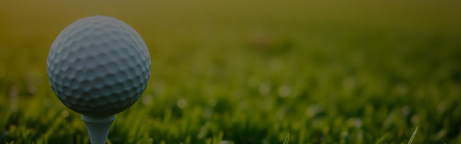 Home golf2.jpg